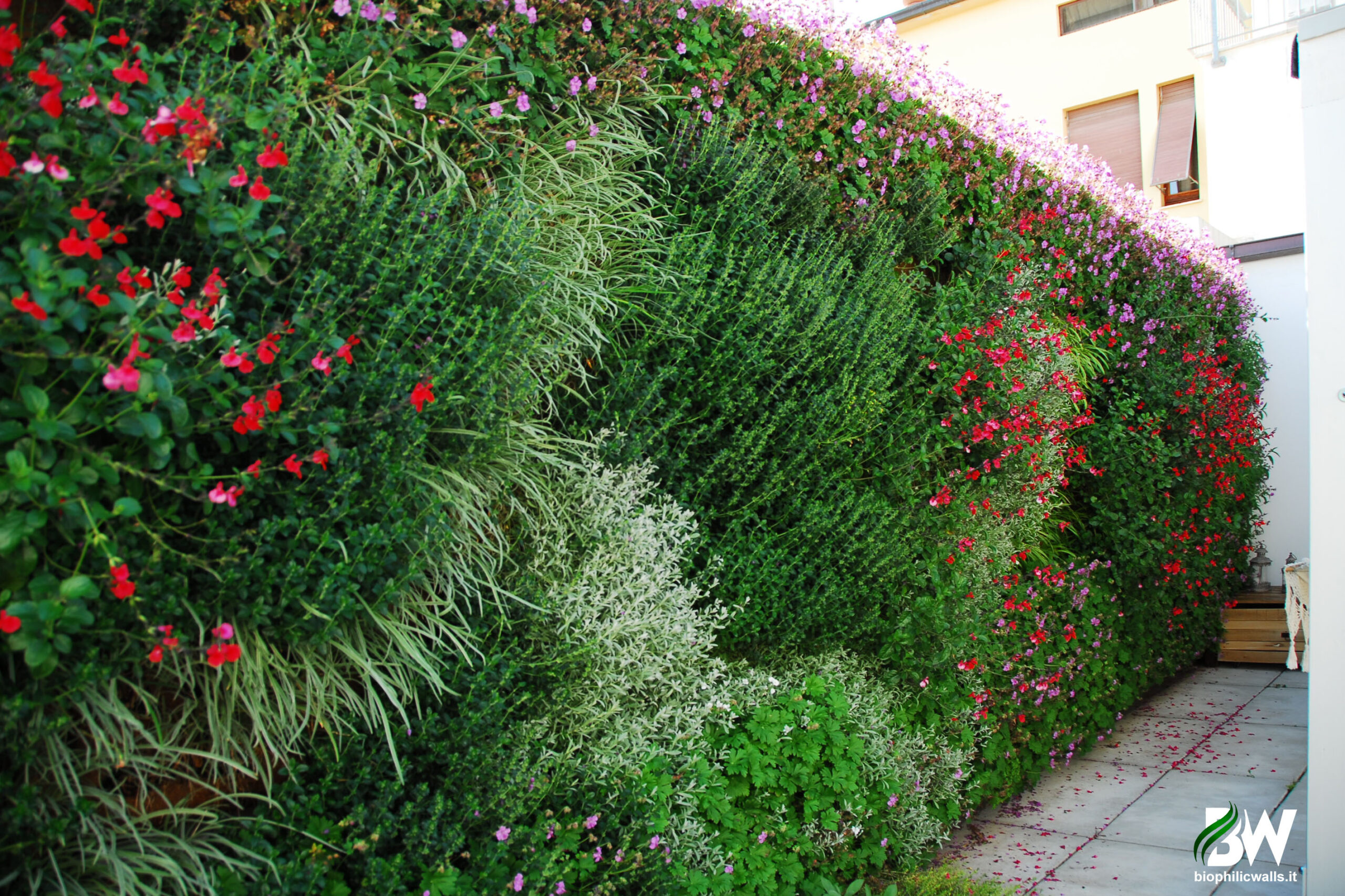 giardino-verticale-geranio-biopihilicwalls